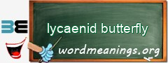 WordMeaning blackboard for lycaenid butterfly